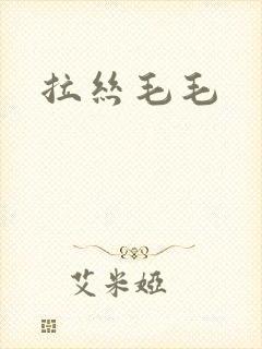 拉丝毛毛