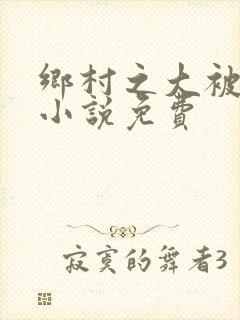 乡村之大被同眠小说免费