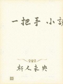 一把手 小说