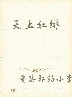 天上红绯封面