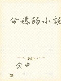 公媳的小说