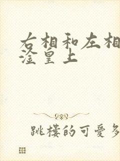 右相和左相一起淦皇上