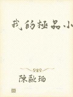 我的极品小姨