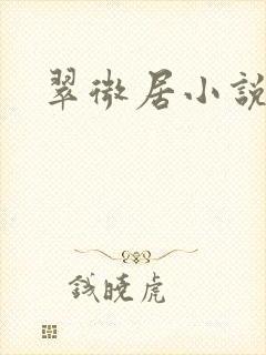 翠微居小说