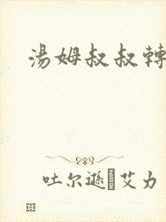 汤姆叔叔转接口