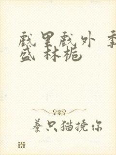 戏里戏外 季淮盛 林栀