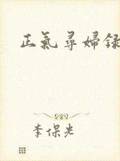 正气寻妇录
