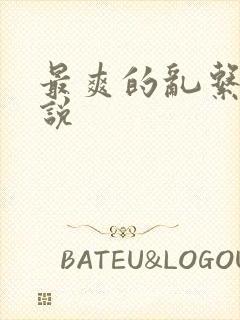 最爽的乱系列小说