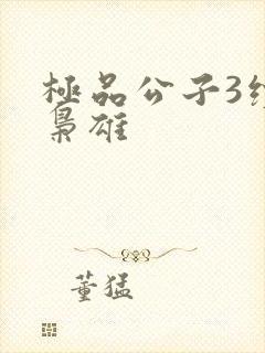 极品公子3续世枭雄