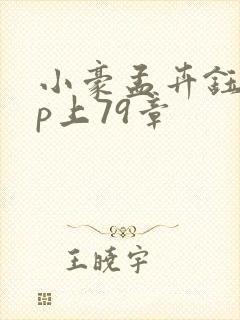 小豪孟卉钰慧三p上79章