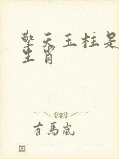 擎天玉柱是什么生肖