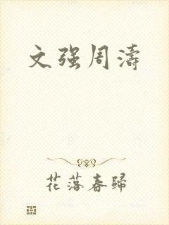 文强周涛