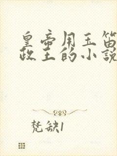 皇帝用玉笛整摄政王的小说