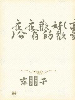 夜夜欢好(高h)公翁的欢爱