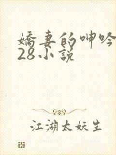 娇妻的呻吟1—28小说