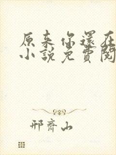 原来你还在这里小说免费阅读