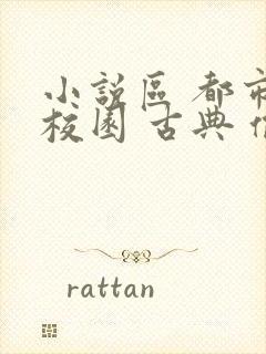 小说区 都市 校园 古典 偷拍