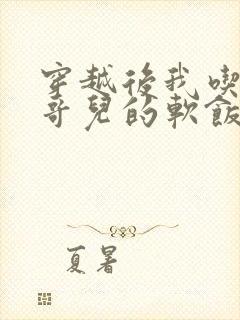 穿越后我吃到了哥儿的软饭炉山灰