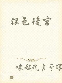 银色后宫