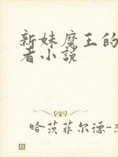 新妹魔王的契约者小说