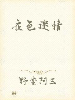 夜色迷情