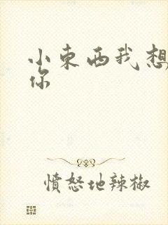 小东西我想弄坏你