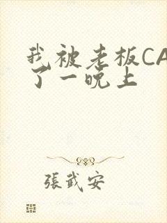 我被老板CAO了一晚上