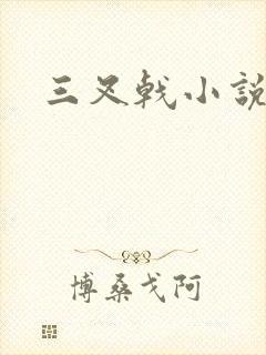 三叉戟小说