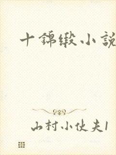 十锦缎小说