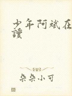 少年阿斌在线阅读