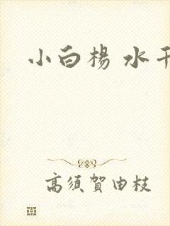 小白杨 水千丞
