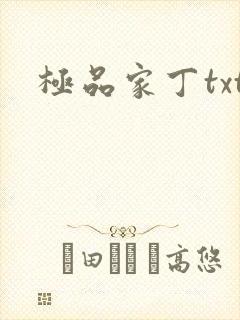 极品家丁txt
