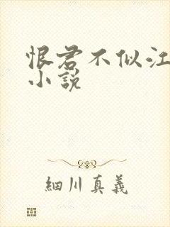 恨君不似江楼月小说