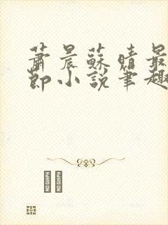 萧晨苏晴最新章节小说笔趣阁