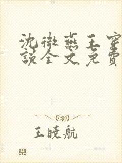 沈微燕王穿越小说全文免费阅读