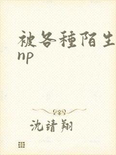 被各种陌生人 np