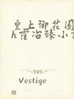 皇上御花园hlh霍冶臻小说