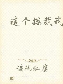 这个总裁我要了