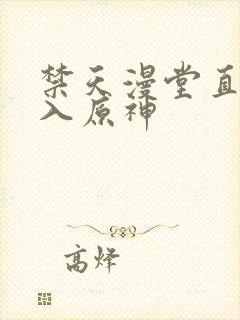 禁天漫堂直接进入原神