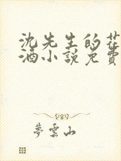 沈先生的花式调酒小说免费阅读