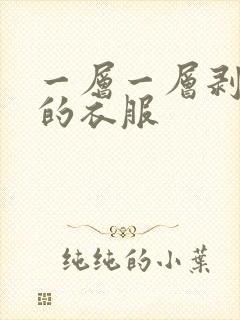 一层一层剥掉你的衣服