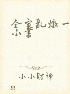 全家乱炖一锅烩小书