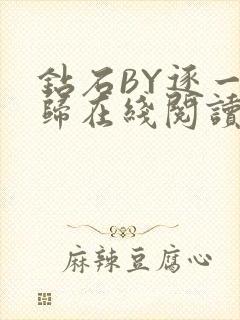 钻石BY逐一而归在线阅读