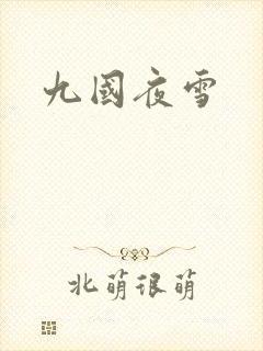 九国夜雪