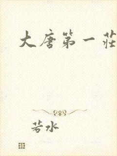 大唐第一庄