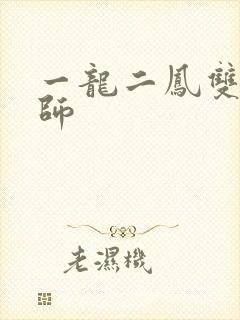 一龙二凤双飞老师