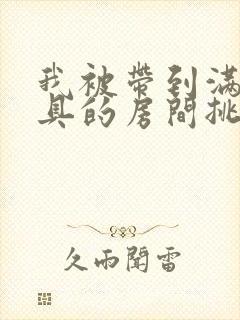 我被带到满是玩具的房间挑调作文