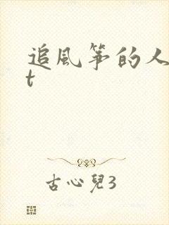 追风筝的人txt