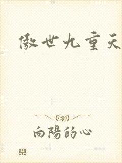傲世九重天小说