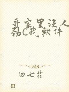 哥家里没人使点劲C我软件